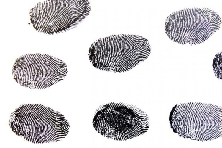 Pse janë unike shenjat e gishtave?