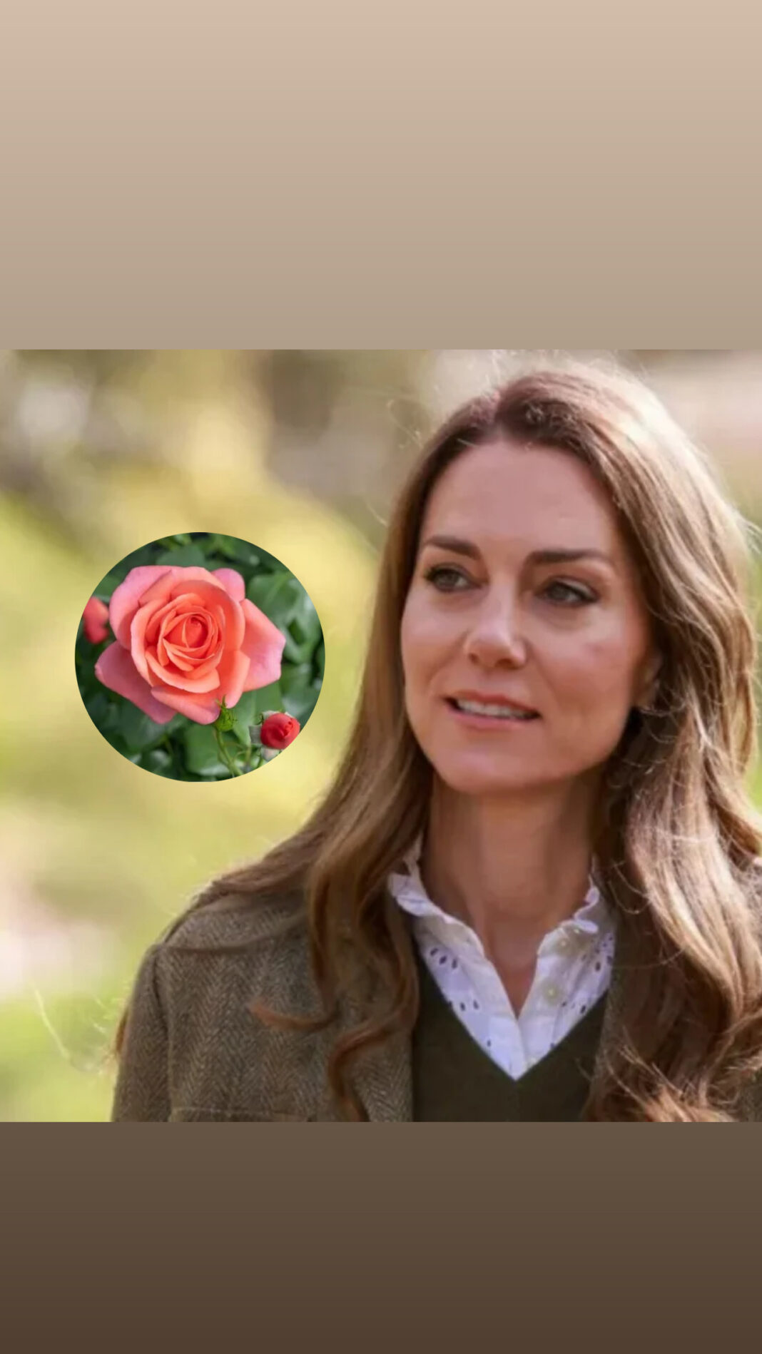 Trëndafili merr emrin e Princeshës së Uellsit, ja mesazhi që mbart