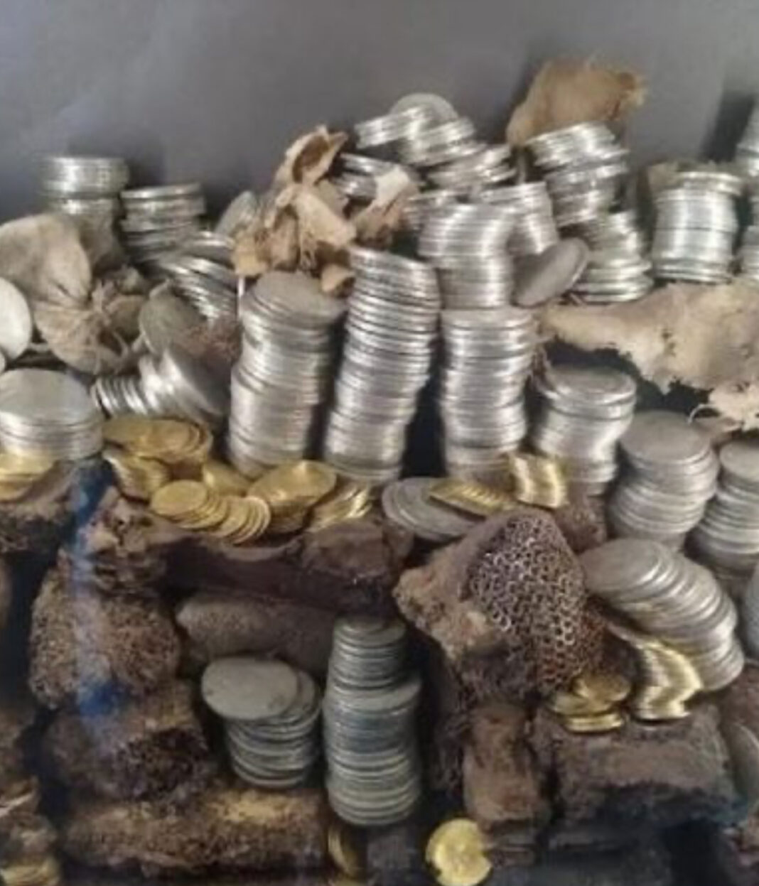 Pas Luvrit, tjetër grabitje në Francë: Zhduken mijëra monedha nga muzeu Diderot